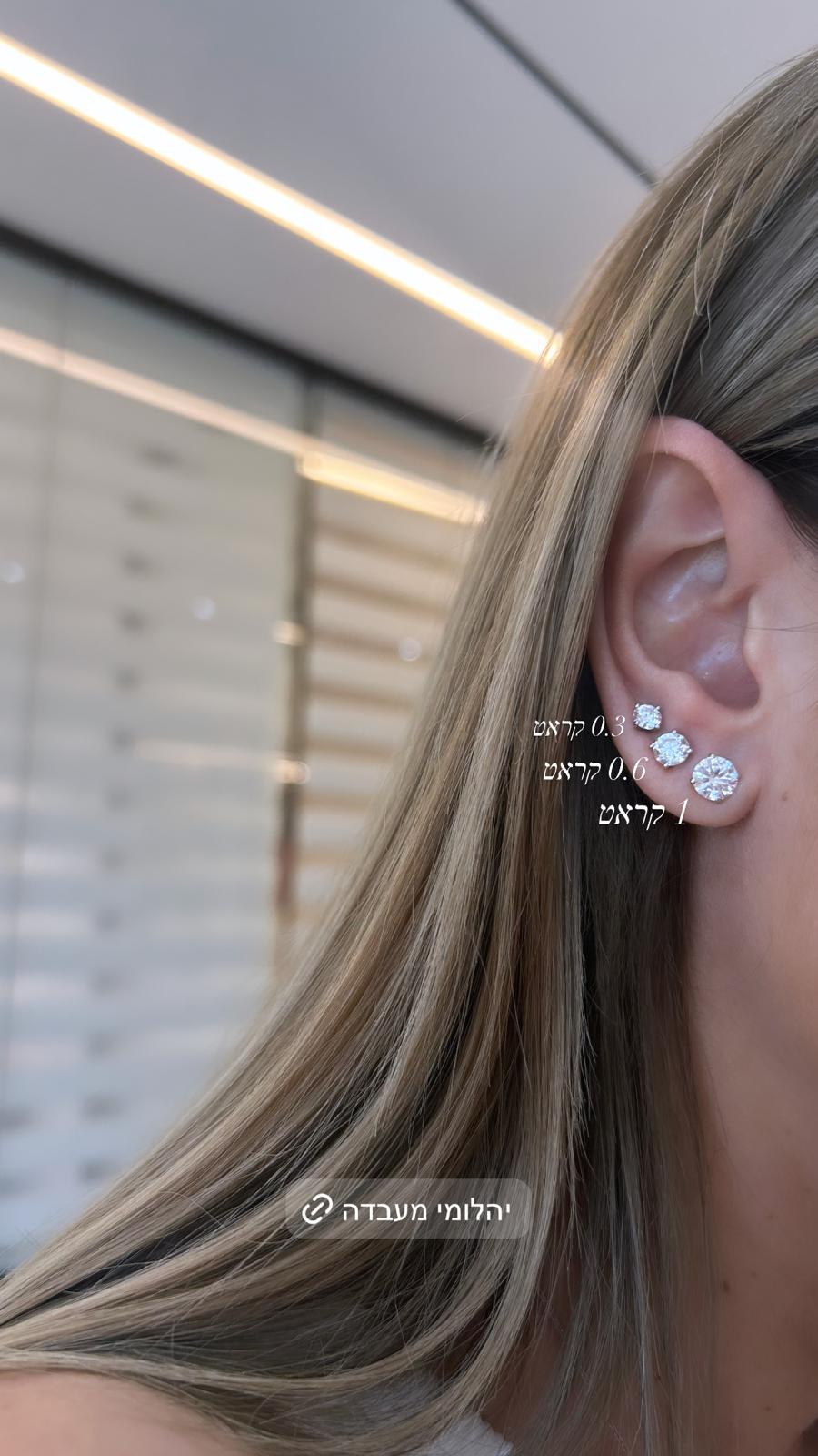 עגילי 1 קרט כל אוזן מעבדה